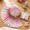 Pink, variant on Jelly Roll Fabric Strips, 40Pcs 100% Cotton Precut Quilting Fabric Bundle, 2.5" x 39" Floral Patchwork Roll for Sewing and DIY Crafting