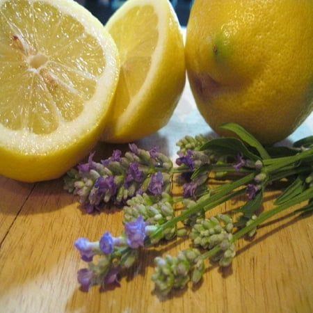 1 Oz Candle Soap (Lavender Lemon Fragrance Oil - 1 OZ - For Candle and Soap Making by Virginia Candle Supply - Free S&H in)