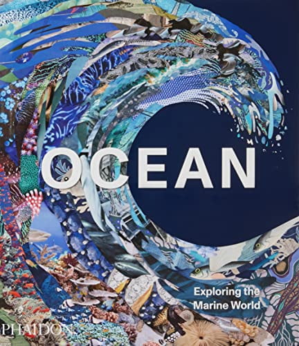 Pre-Owned Ocean: Exploring the Marine World, 9781838664787, 1838664785, Hardcover,