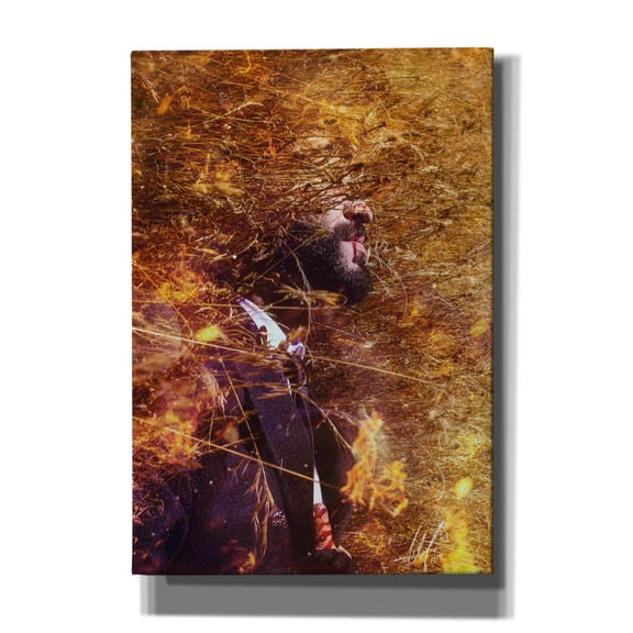 Cortesi Home 'Phoenix' by Mario Sanchez Nevado, Canvas Wall Art, 18"x26"