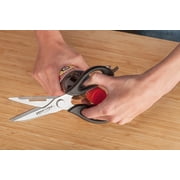 Ergo Chef Come Apart Multipurpose Kitchen Shears, Stainless Steel, Black