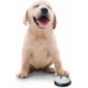 thumbnail image 2 of 2 Pack Dog For Door Potty And Cat Communicat Ce., 2 of 3