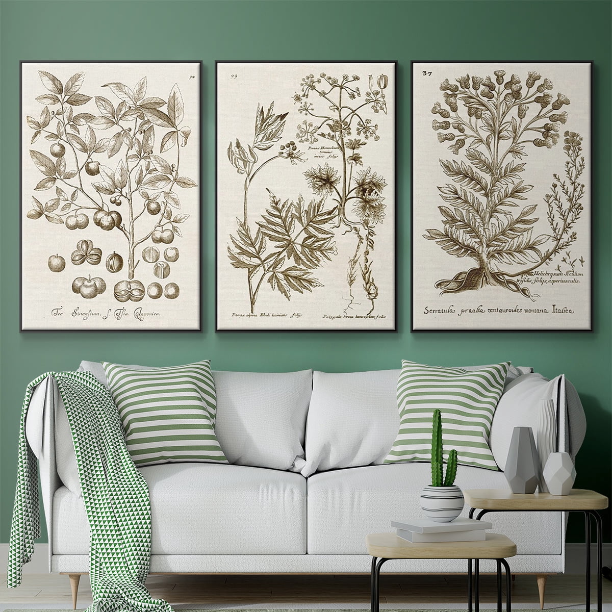 Sepia Botanical Journal I - Framed Premium Gallery Wrapped Canvas L Frame 3 Piece Set - Ready to Hang