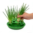 thumbnail image 3 of Grow Kit For Herbs Veggies Green Onion Easy Coriander Watering, 3 of 7