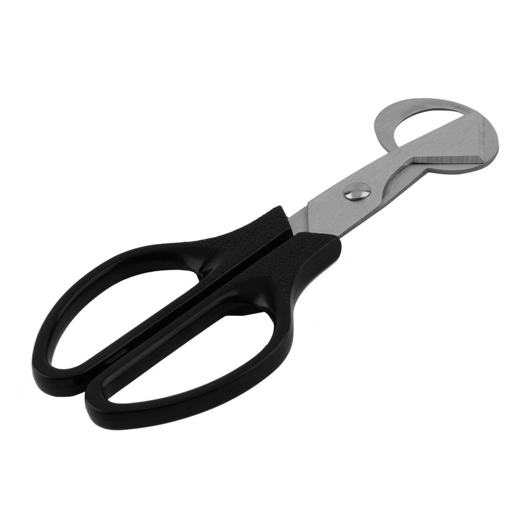 Details about   Quail Egg Scissors Cracker  Opener Cigar Cutter Stainless Steel Blade Tool`US 