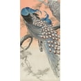 thumbnail image 2 of Koson, Ohara 14x24 White Modern Wood Framed Museum Art Print Titled - Two peacocks on tree branch, 2 of 4