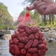 thumbnail image 2 of Ounissouiy Bolsa de malla portátil para huevos de verduras, bolsa de red reutilizable para supermercado en casa, bolsas de almacenamiento Almacenamiento y organización del hogar, 2 of 6