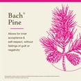 thumbnail image 3 of Bach Flower Essences Pine | Pino 20 ml (0,7 oz. líq.), 3 of 6
