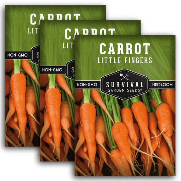 3 Packs Little Fingers Carrot - Non-GMO Heirloom Vegetable Seeds - Full Sun Biennial