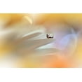 thumbnail image 2 of Nan, Juliana 24x17 Black Ornate Wood Framed with Double Matting Museum Art Print Titled - Timeless Tale.., 2 of 4