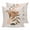 Light Brown, variant on Bohemian Pillow Covers 16x16 Set of 2, Modern Abstract Boho Leaves Beige Middle Century Throw Pillow Covers Decorative Couch Cushion Cover, Microfiber Soft Pillowcases for Bedroom Living Room Sofa