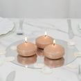 thumbnail image 4 of Balsa Circle 12 Beige 3 in Round Unscented Floating Candles Dripless Wax Discs Party Wedding Table Centerpieces Event Decorations Supplies, 4 of 8