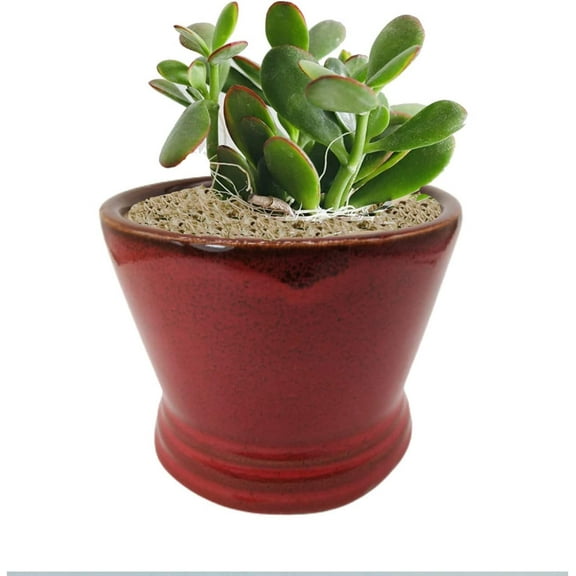 India Meets India Ceramic Indoor Outdoor Planter Flower Pot Handicraft by Awarded Indian Artisan (Red)