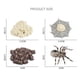 thumbnail image 3 of Ciclo de simulación Animal modelo Mini Bug ciclo de plástico salón de clases enseñanza juguete Sunnimix Juego de crecimiento de insectos para niños, 3 of 7