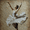 Elegant dancing ballerina fine art print, variant on Qisvanset 12x16 Inch Framed Canvas Wall Art New York Street Scene Urban Landscape Canvas Decor for Apartment Hallway