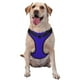 thumbnail image 1 of Balery Darkblue Arnés para Perros Grandes Antitirones, Arnés con Correa para Gato, Arnés Tipo Chaleco para Perros Pequeños-Large, 1 of 6