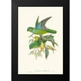 thumbnail image 2 of Gould, John 11x14 Black Modern Framed Museum Art Print Titled - Lime And Cerulean Parrots II, 2 of 5