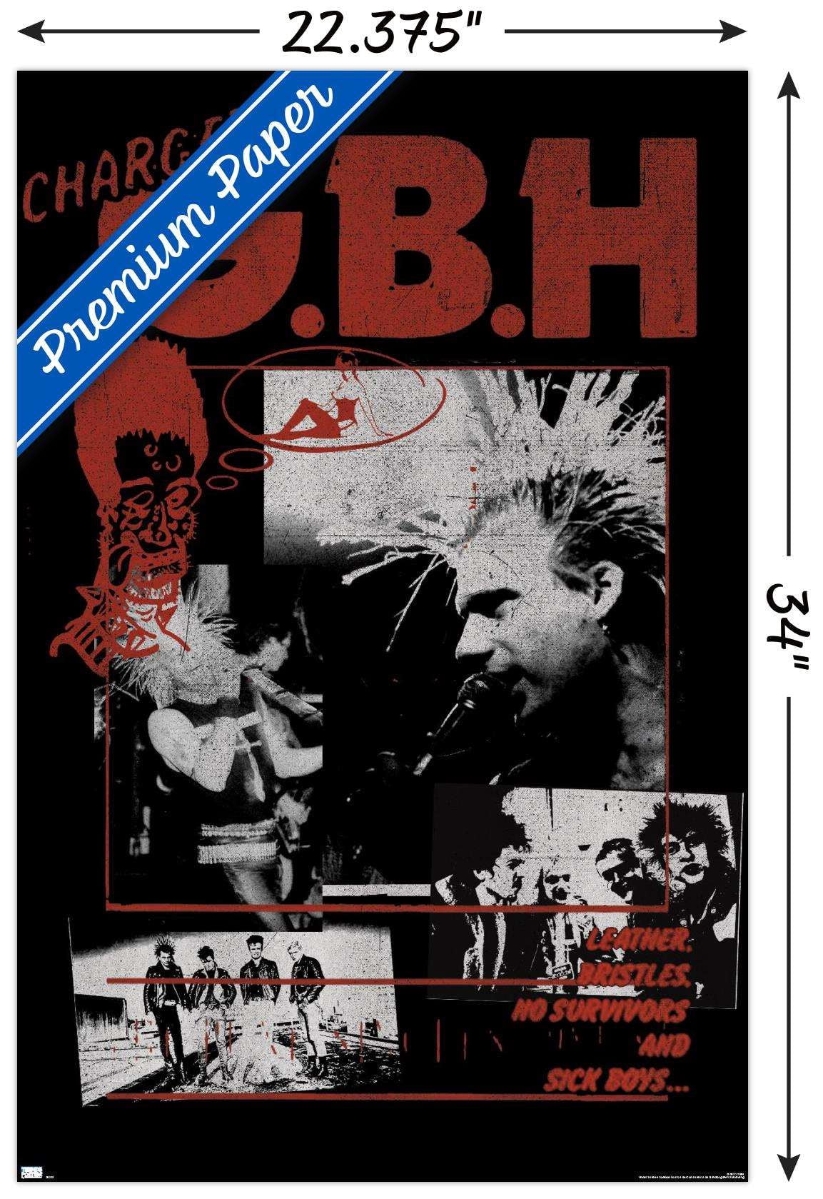 GBH - Montage Wall Poster, 22.375" x 34"