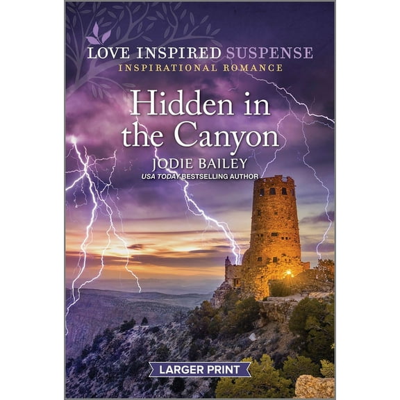 Hidden in the Canyon, (Paperback)