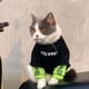 thumbnail image 5 of Ropa de marca de moda para perros y gatos de otoño e invierno, muñeco de tela para gatos, suéter con forro polar chenari para perros pequeños antipelusas de Blue Cat, 5 of 5