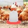 thumbnail image 4 of HEALEEP 1 De Alimentador Para Pollos Con Único Y Material Duradero, 4 of 8