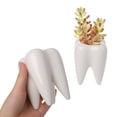 thumbnail image 2 of Sinyiin Tooth Shape Ceramic Flower Pot Green Succulent Planter Cactus Container Decor, 2 of 9