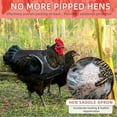 thumbnail image 5 of UOSIA 2Pcs Chicken Saddles for hens, Chicken Apron Back Protector for Hens, 5 of 6