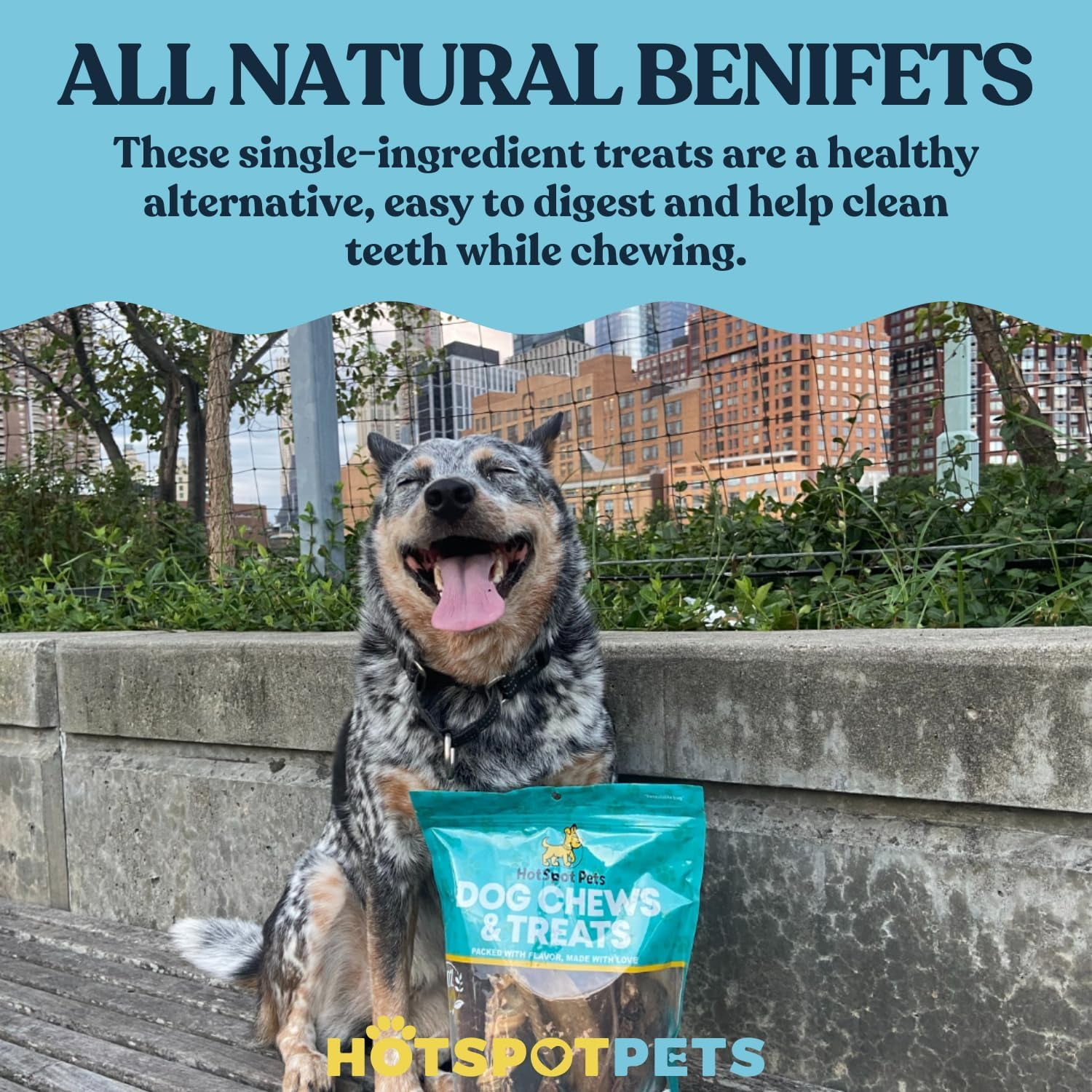 HotSpot Pets All Natural Braided Bully Sticks 6 Inch - 5 Pack - 100% Beef Chew Dog Treat for Large Dogs