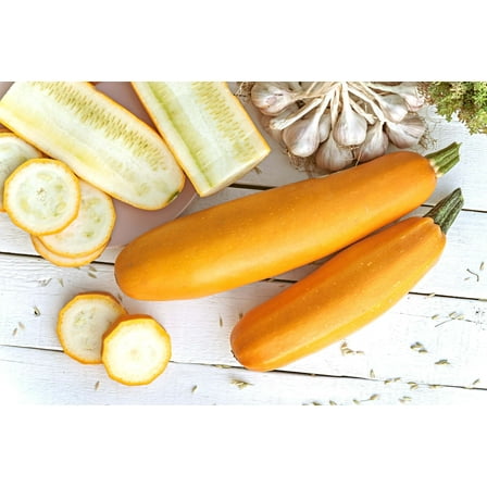 50 Seeds GOLDEN ZUCCHINI Heirloom Summer Bush Squash Cucurbita Pepo Yellow Vegetable Seeds