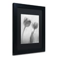 thumbnail image 3 of Moises Levy 'Flowers on Ice-1' Black Matted Framed Art, 3 of 5