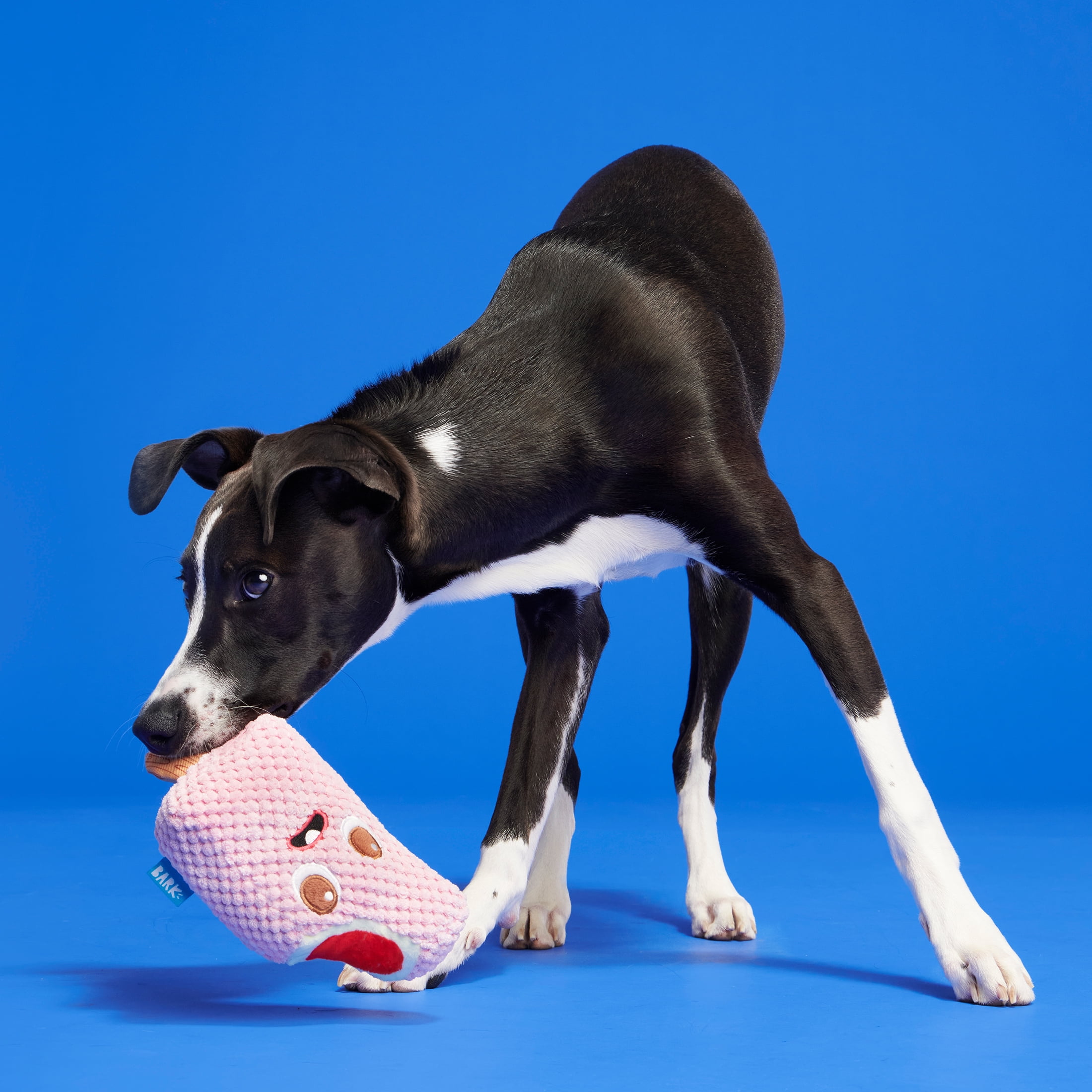 BARK Strawberry Snortcake Yankee Doodle Dog Toy, Packed with Fluff, Extra Small to Medium Dogs