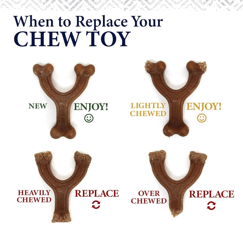Nylabone Gourmet Style Wishbone Dog Chew Toy Chicken Flavor Large [New Dog Supplies, Dog Chew Toys, Nylabone, Dog Supplies] 1 count