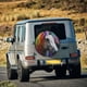 thumbnail image 5 of Balery Colorful Haired White Horse Cubiertas para Neumáticos - Protector Resistente para Neumáticos de Camioneta, SUV, Remolque, Camper y RV-15 inch, 5 of 6