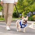 thumbnail image 4 of 2 Piece Set,Puppy Harness and Leash Set with Adjustable Fit,Breathable Mesh Dog Harness for Small Dogs Training,No-Pull Easy Walk,Cute Dog Birthday Gift Set, 4 of 4