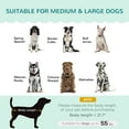 thumbnail image 3 of PawHut Pearl Design Pet Sofa for Medium and Large Sized Dogs, Pet Bed with Cushion and Solid Wood Legs, Green, 3 of 9