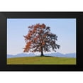 thumbnail image 2 of Rossmeissl, Gerhard 24x17 Black Modern Framed Museum Art Print Titled - Der Baum, 2 of 5
