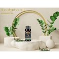 thumbnail image 2 of KRIAA Goodness Eucalyptus Essential Oil 10ml with Dropper, 2 of 6