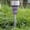 Purple, variant on Fanshiluo Patio & Garden Supplies, LED Outdoor Solar Lights Land-scape Spotlights Lights Wireless Solar Powered Outdoor Lights/Lighting For Yard Walkway
