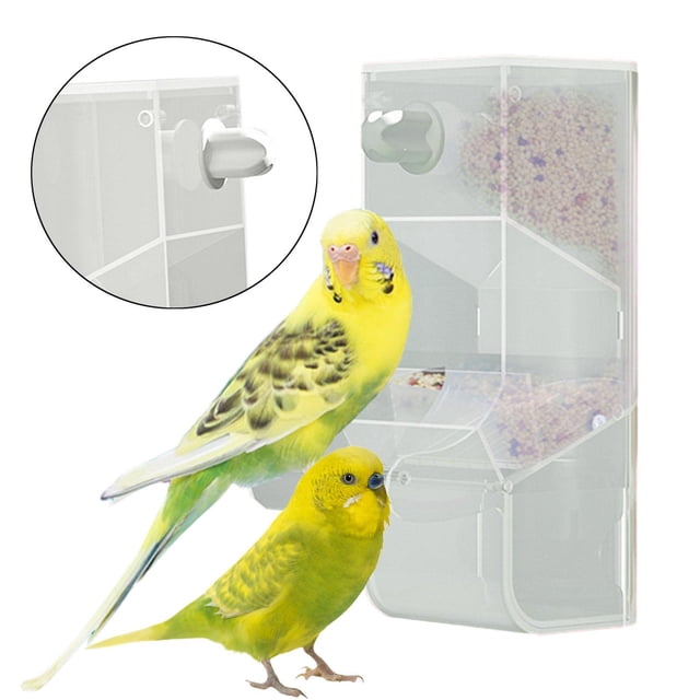 Alimentador automático de pájaros, alimentador de loros, suministros de alimentación, contenedor de comida transparente, dispensador de alimentos para