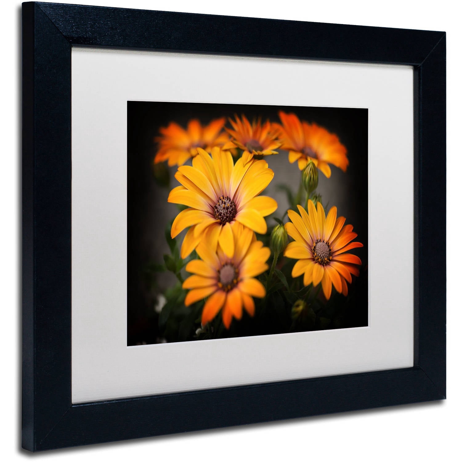 Trademark Fine Art "Stand Up" Canvas Art by Philippe Sainte-Laudy, White Matte, Black Frame