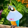 thumbnail image 3 of Bird Neck Collar, Bird Anti-bite Neck Collar Parrots Adjustable Recovery Collar, 3 of 5