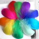thumbnail image 1 of 100 Uds 8-12 Cm pluma de ganso flotante media pluma colorida Natural para decoración de ropa de fiesta de boda plumas artesanales DIY Tan Jianjun unisex, 1 of 2