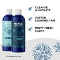thumbnail image 3 of Sulfate Free Hard Water Shampoo and Conditioner - Hard Water Hair Treatments of Product and Minerals with Five Mint Essential Oils for Replenishing Hydration and Hair Shine - Paraben & Cruelty Free, 3 of 7