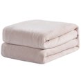 thumbnail image 3 of Plush Blanket Pale Pink Twin, 3 of 3