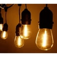 thumbnail image 2 of Incandescent Edison String Light, Outdoor Hanging Light, 2 of 7