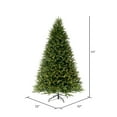 thumbnail image 3 of Vickerman 6.5' x 52" Tiffany Fraser Fir Artificial Christmas Tree with Warm White LED Lights., 3 of 7