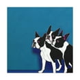 thumbnail image 3 of Boston Terrier Zenitude - Canvas, 3 of 25