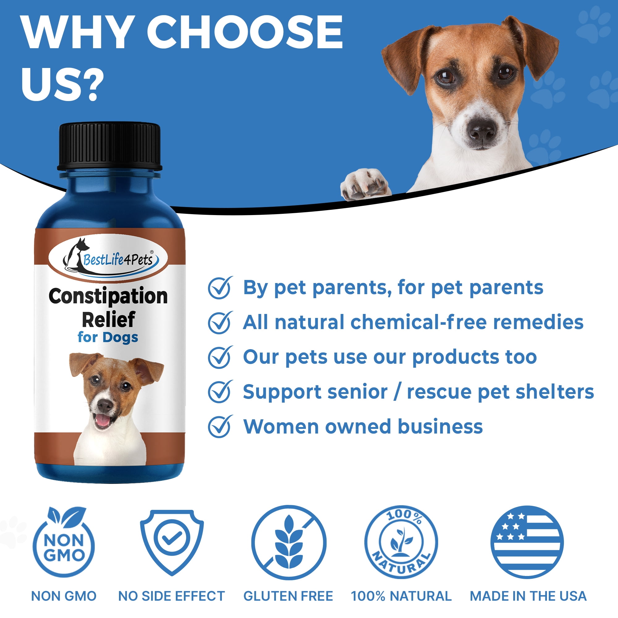 Safe laxatives for store dogs