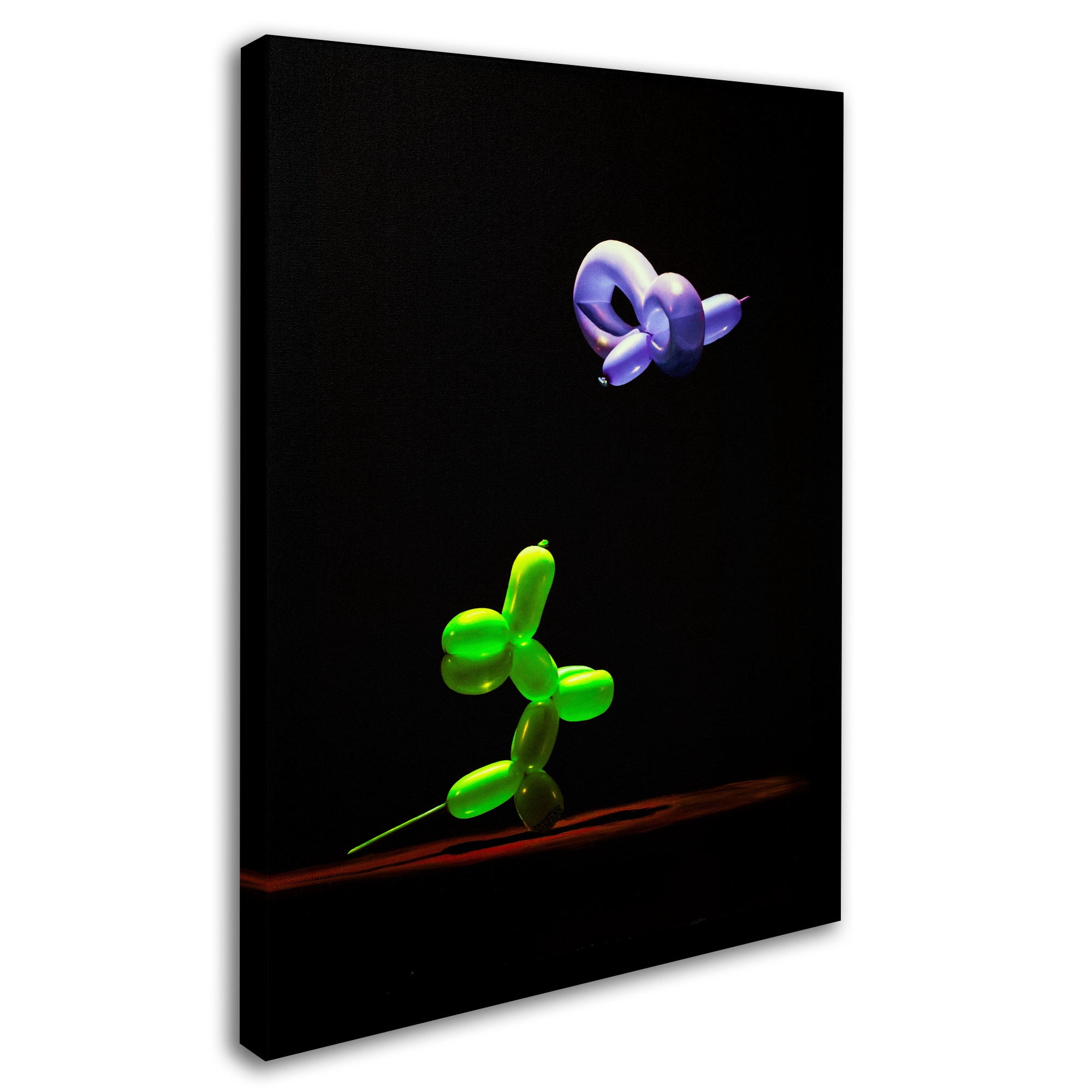 Trademark Fine Art "Balloon Puppy and Hummingbird" Canvas Art by Roderick Stevens