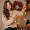 thumbnail image 7 of LED String Lights, Pumpkin Maple Leaf Lights, Fall Harvest Strings, Festival Lights, Ambient Lighting for Halloween Night Party, Family Gathering, Bedroom Indoor, Garden Porch and Courtyard Decor, 7 of 7